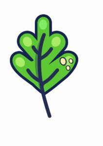 Untitled-47 (1) 01 Artboard 1